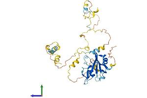 Protein Structure (PS) image for Src Homology 2 Domain Containing Transforming Protein D (SHD) (AA 1-343) protein (His tag) (ABIN7562668)