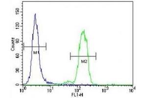 Bad antibody flow cytometric analysis of HeLa cells (right histogram) compared to a negative control (left histogram).