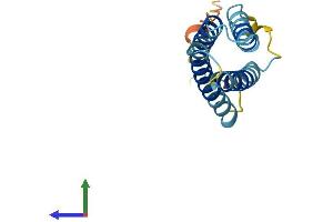 Protein Structure (PS) image for Chemokine-Like Factor (CKLF) (AA 1-152) protein (His tag) (ABIN7553385)