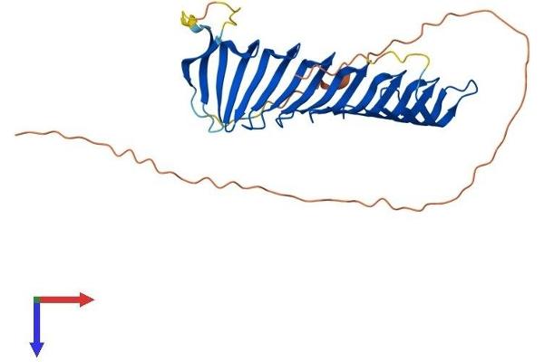 RSPH1 Protein (AA 1-301) (His tag)
