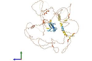 Protein Structure (PS) image for Sciellin (SCEL) (AA 1-688) protein (His tag) (ABIN7545859)