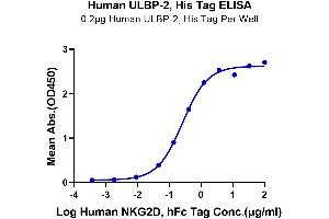 Immobilized Human ULBP-2, His Tag at 2 μg/mL (100 μL/Well) on the plate. (ULBP2 Protein (AA 26-217) (His-Avi Tag))