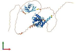 Protein Structure (PS) image for GA Binding Protein Transcription Factor, alpha Subunit 60kDa (GABPA) (AA 1-454) protein (His tag) (ABIN7556851)