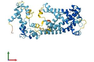 Protein Structure (PS) image for Solute Carrier Family 25 (Mitochondrial Carrier, Phosphate Carrier), Member 23 (SLC25A23) (AA 1-467) protein (His tag) (ABIN7557914)