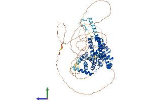 AlphaFold protein structure predicition of Human Recombinant TBC1D14 Protein, UniprotID Q9P2M4