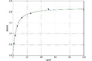 A typical standard curve (PKC delta ELISA 试剂盒)