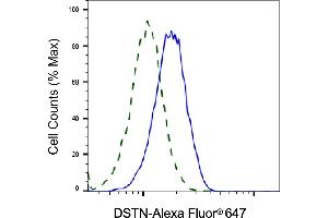 Validation of DSTN knockdown using flow cytometry. (Destrin 抗体)