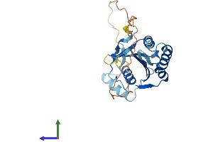 AlphaFold protein structure predicition of Mouse Recombinant Maf1 Protein, UniprotID Q9D0U6