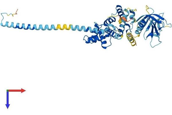 Cytohesin 2 Protein (CYTH2) (AA 1-400) (His tag)