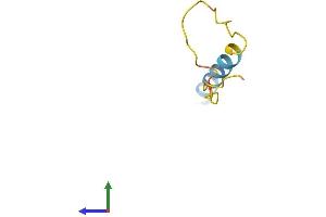 AlphaFold protein structure predicition of Mouse Recombinant Prcd Protein, UniprotID Q00LT2