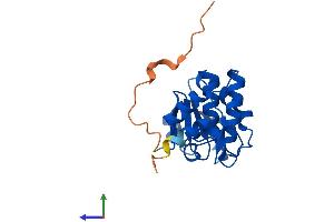 Protein Structure (PS) image for Dual Specificity Phosphatase 14 (DUSP14) (AA 1-198) protein (His tag) (ABIN7547243)