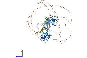 AlphaFold protein structure predicition of Human Recombinant APBA2 Protein, UniprotID Q99767