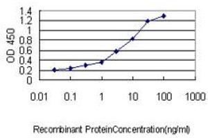 Detection limit for recombinant GST tagged WFDC2 is approximately 0. (WFDC2 抗体  (AA 31-124))