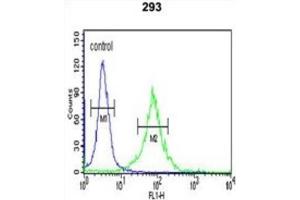Flow Cytometry (FACS) image for anti-APC Membrane Recruitment Protein 1 (AMER1) antibody (ABIN3002682) (WTX 抗体)