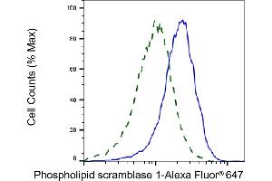 Validation of Phospholipid scramblase 1 knockdown using flow cytometry. (Recombinant PLSCR1 抗体)