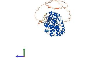 Protein Structure (PS) image for Cyclin A1 (CCNA1) (AA 1-421) protein (His tag) (ABIN7557704)