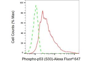 Flow cytometric analysis of Phospho-p53 (S33) expression in HeLa cells using Phospho-p53 (S33) antibody ( (ABIN7800680), 1:2,000). (Recombinant p53 抗体  (pSer33))