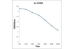 Antigen: 0. (PRAS40 抗体  (pThr246))
