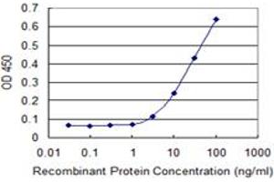 Detection limit for recombinant GST tagged MAPK13 is 1 ng/ml as a capture antibody. (MAPK13 抗体  (AA 251-365))
