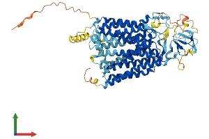 Protein Structure (PS) image for Solute Carrier Organic Anion Transporter Family, Member 2A1 (SLCO2A1) (AA 1-643) protein (His tag) (ABIN7555608)
