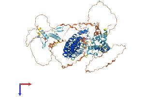AlphaFold protein structure predicition of Human Recombinant ESPNL Protein, UniprotID Q6ZVH7