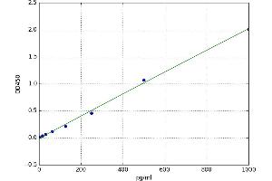 A typical standard curve (IFNE ELISA 试剂盒)