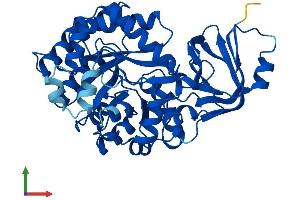AlphaFold protein structure predicition of Human Recombinant AMDHD1 Protein, UniprotID Q96NU7