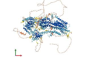 Protein Structure (PS) image for ATPase, Class V, Type 10A (ATP10A) (AA 1-1499) protein (His tag) (ABIN7552395)