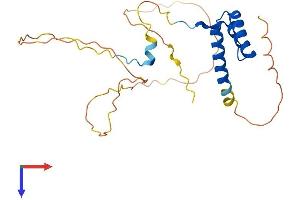 Homeobox C6 Protein (HOXC6) (AA 1-235) (His tag)