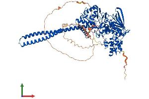 AlphaFold protein structure predicition of Human Recombinant KDM1A Protein, UniprotID O60341