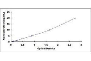 ELISA image for Growth Hormone 1 (GH1) ELISA Kit (ABIN414066)