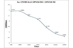 Antigen: 0. (Human Papilloma Virus 16, 18 E6 (HPV-16, HPV-18 E6) 抗体)