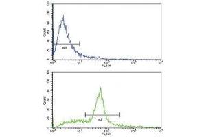 Flow cytometric analysis of WiDr cells using SCF antibody (green) (KIT Ligand 抗体  (AA 244-273))