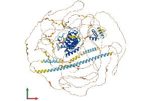 AlphaFold protein structure predicition of Mouse Recombinant Brd4 Protein, UniprotID Q9ESU6