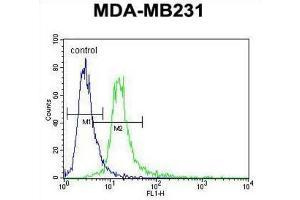 Flow Cytometry (FACS) image for anti-Ankyrin Repeat Domain 13C (ANKRD13C) antibody (ABIN3004051) (ANKRD13C 抗体)