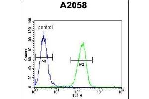 GSTO2 Antibody (Center) (ABIN652022 and ABIN2840502) flow cytometric analysis of  cells (right histogram) compared to a negative control cell (left histogram). (GSTO2 抗体  (AA 82-110))