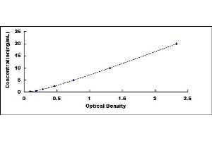 Typical standard curve (Spindly ELISA 试剂盒)