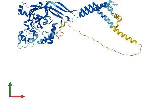 Protein Structure (PS) image for Amiloride-Sensitive Cation Channel 3 (ACCN3) (AA 1-530) protein (His tag) (ABIN7558126)