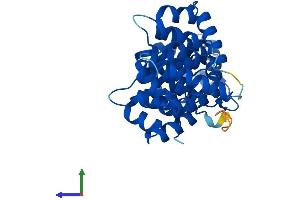 Protein Structure (PS) image for Annexin A8-Like 2 (ANXA8L2) (AA 1-327) protein (His tag) (ABIN7552491)