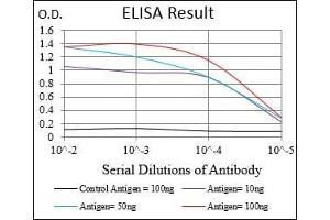 Black line: Control Antigen (100 ng), Purple line: Antigen(10 ng), Blue line: Antigen (50 ng), Red line: Antigen (100 ng),
