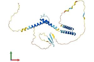 Protein Structure (PS) image for Hes Family bHLH Transcription Factor 1 (HES1) (AA 1-282) protein (His tag) (ABIN7563174)