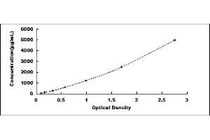 Typical standard curve (LOXL1 ELISA 试剂盒)