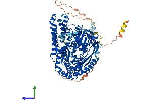 AlphaFold protein structure predicition of Mouse Recombinant Tfrc Protein, UniprotID Q62351 (Transferrin Receptor Protein (AA 1-763) (His tag))