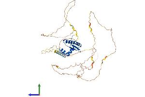 Protein Structure (PS) image for Myocyte Enhancer Factor 2C (MEF2C) (AA 1-473) protein (His tag) (ABIN7554518)