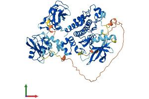 AlphaFold protein structure predicition of Human Recombinant SYK Protein, UniprotID P43405 (SYK Protein (AA 1-635) (His tag))