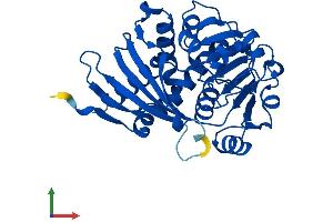 Protein Structure (PS) image for Crystallin, mu (CRYM) (AA 1-313) protein (His tag) (ABIN7562461)