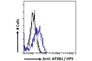 ABIN6391367 Flow cytometric analysis of paraformaldehyde fixed HepG2 cells (blue line), permeabilized with 0. (AP3B1 抗体  (N-Term))