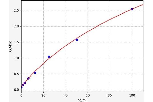 SERPINB2 ELISA 试剂盒