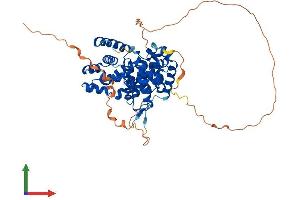 Protein Structure (PS) image for TBC1 Domain Family, Member 10A (TBC1D10A) (AA 1-500) protein (His tag) (ABIN7556530)