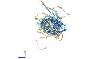 AlphaFold protein structure predicition of Mouse Recombinant Cc2d2a Protein, UniprotID Q8CFW7 (CC2D2A Protein (AA 1-1633) (His tag))
